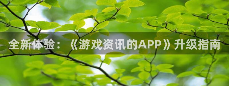 赢咖娱乐科技：全新体验：《游戏资讯的APP》升级指南
