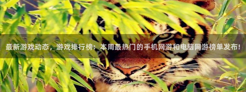 赢咖娱乐注册官方登录app：最新游戏动态，游戏排行榜：本周最