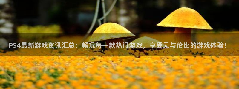 赢咖娱乐平台注册资金多少：PS4最新游戏资讯汇总：畅玩每一款