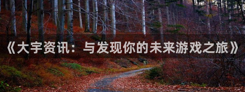 赢咖娱乐线路测试：《大宇资讯：与发现你的未来游戏之旅》