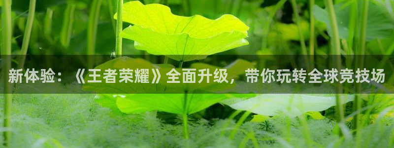 赢咖娱乐官网登录：新体验：《王者荣耀》全面升级，带你玩转全球