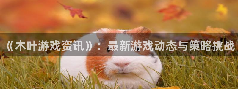 赢咖娱乐注册网站：《木叶游戏资讯》：最新游戏动态与策略挑战