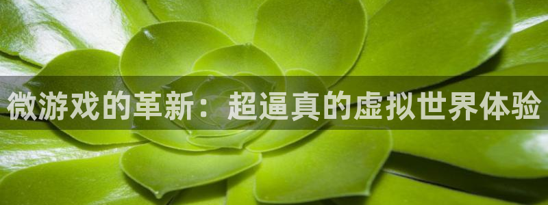 赢咖娱乐在线登录：微游戏的革新：超逼真的虚拟世界体验