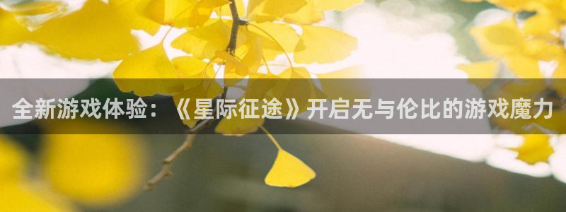 赢咖娱乐平台负责人：全新游戏体验：《星际征途》开启无与伦比的