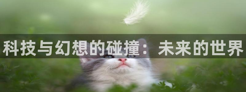 赢咖娱乐app下载|下载地址：科技与幻想的碰撞：未来的世界