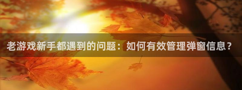 赢咖娱乐是什么：老游戏新手都遇到的问题：如何有效管理弹窗信息